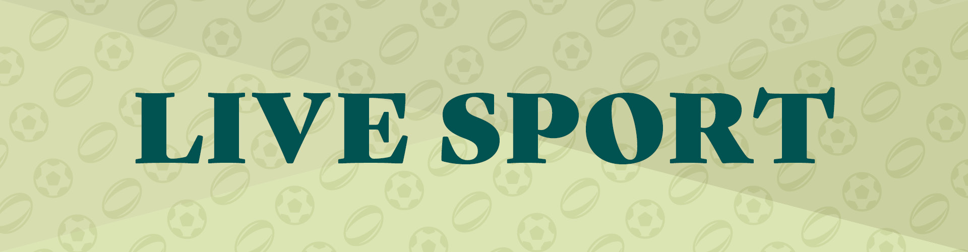 Live Sport at Elephant And Castle Amersham (d)