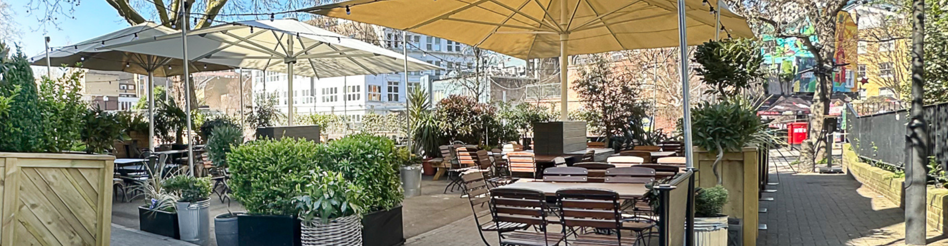 Beer Garden at Duke Of Sussex Waterloo (d)