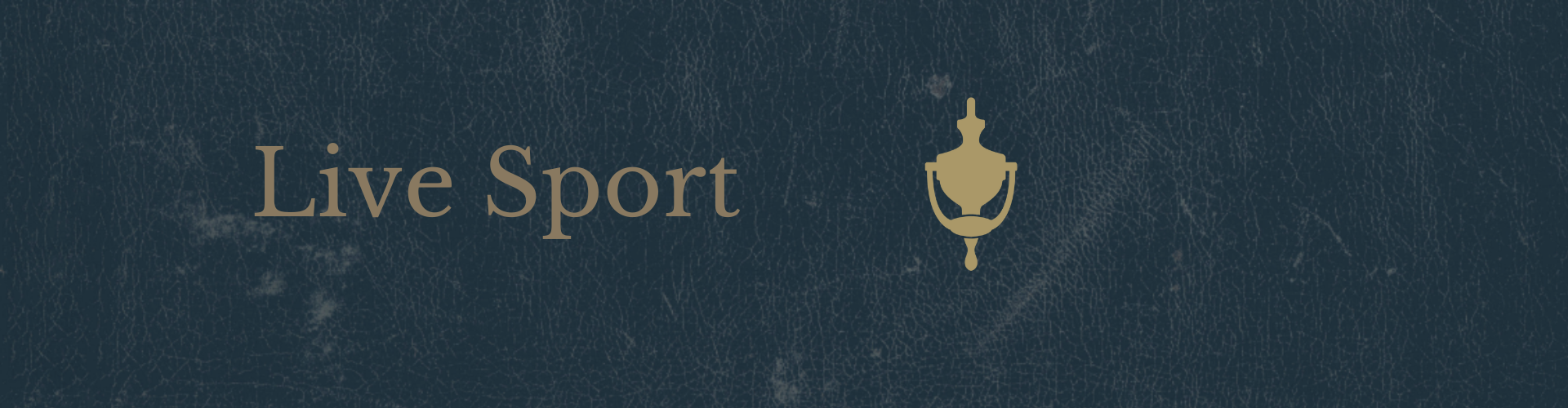 Pubs showing sport in Westminster